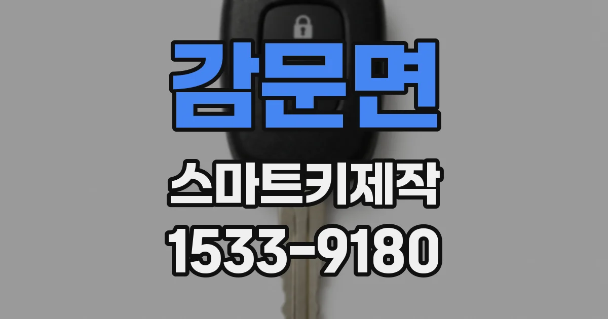 감문면 스마트키제작