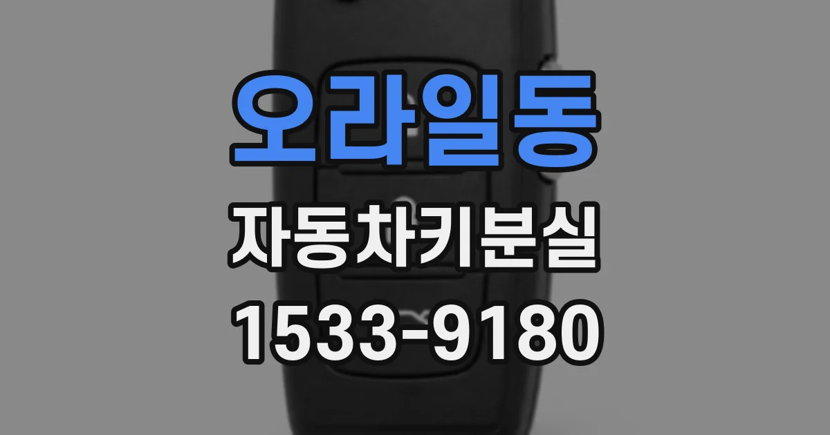 오라일동 자동차키분실