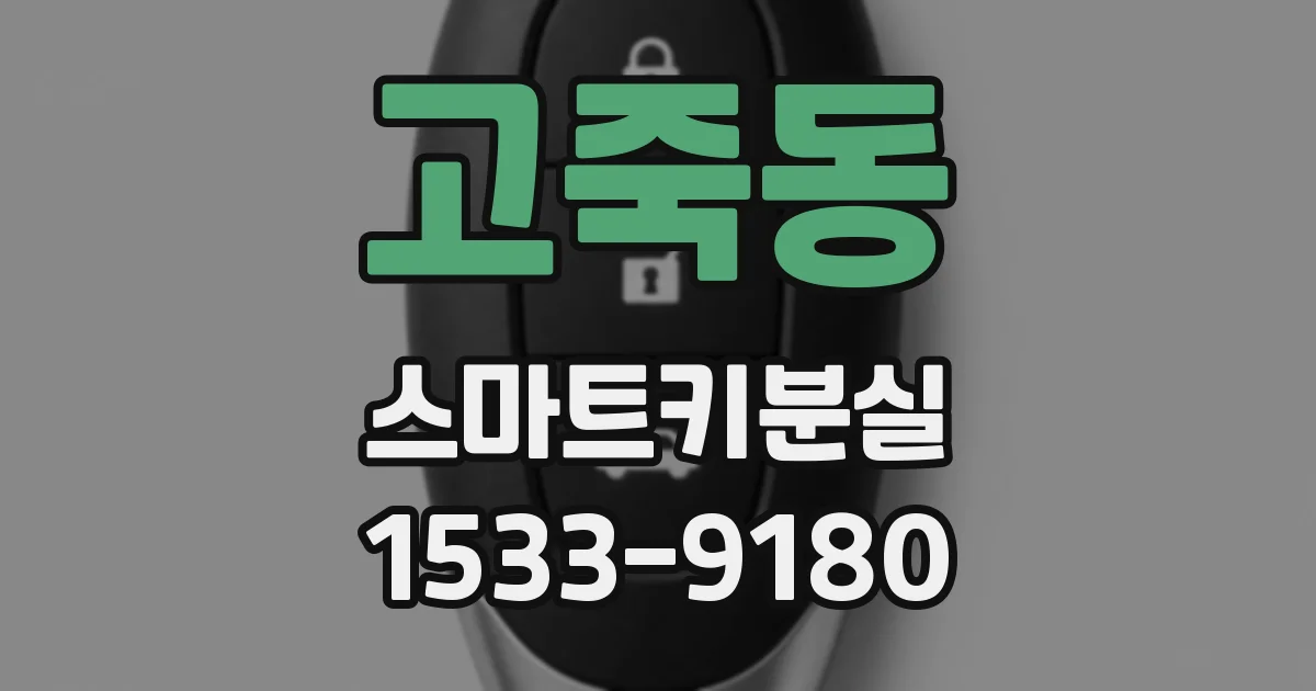 고죽동 스마트키분실