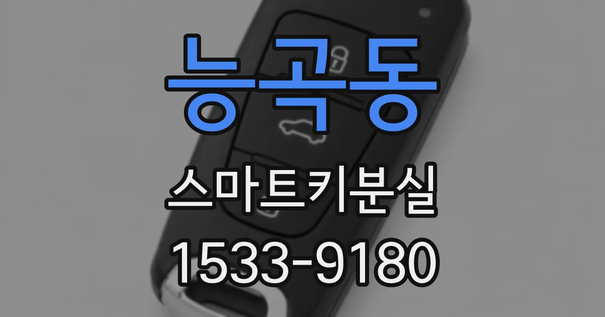 능곡동 스마트키분실