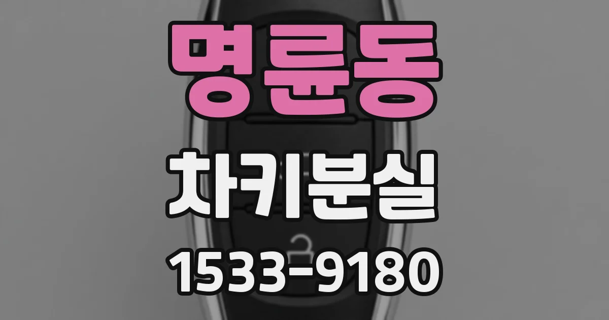명륜동 차키분실