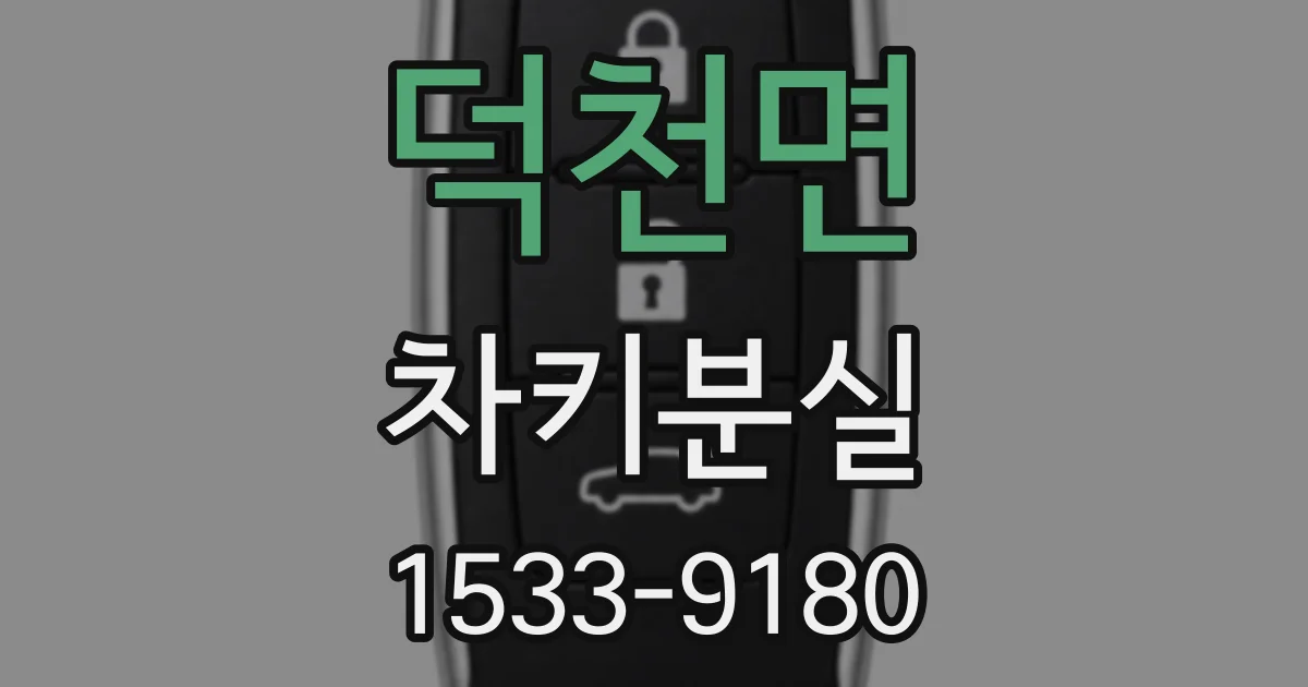 덕천면 차키분실