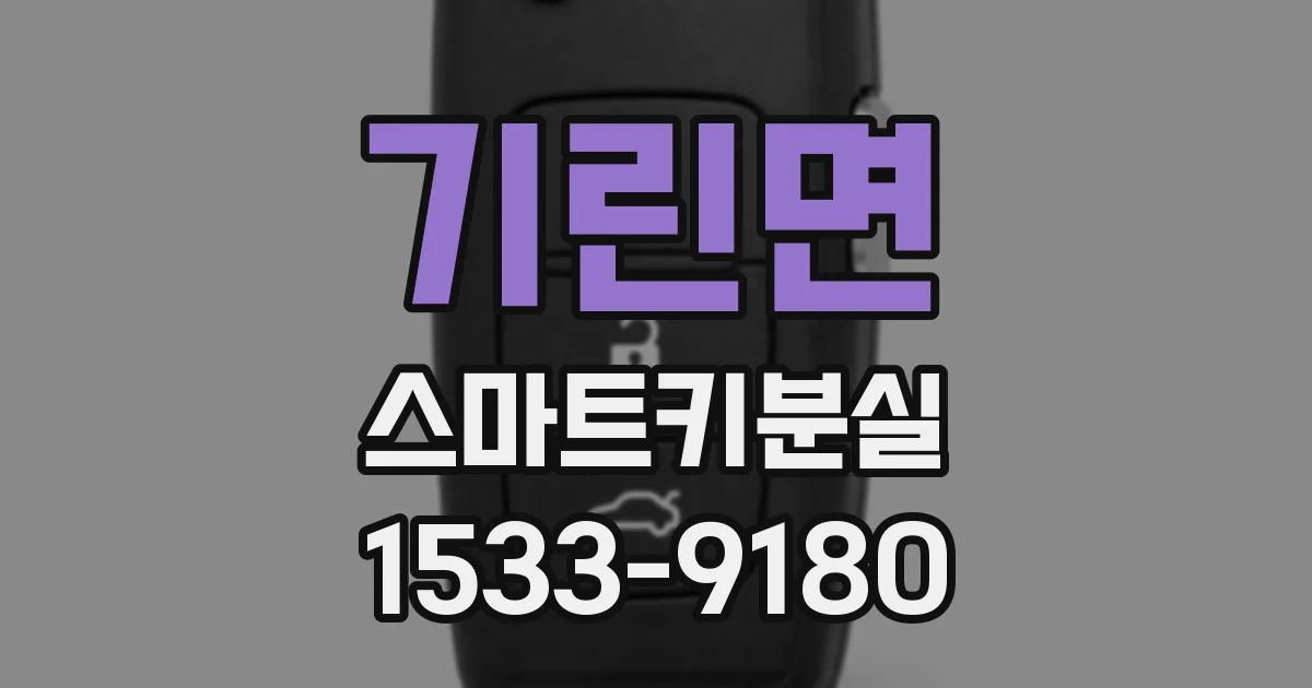 기린면 스마트키분실