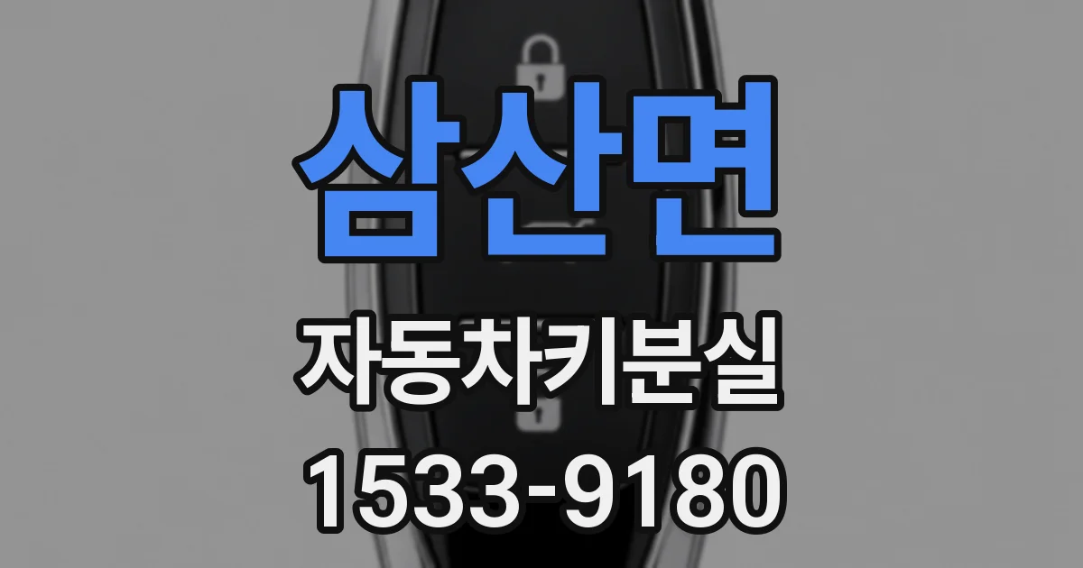 삼산면 자동차키분실