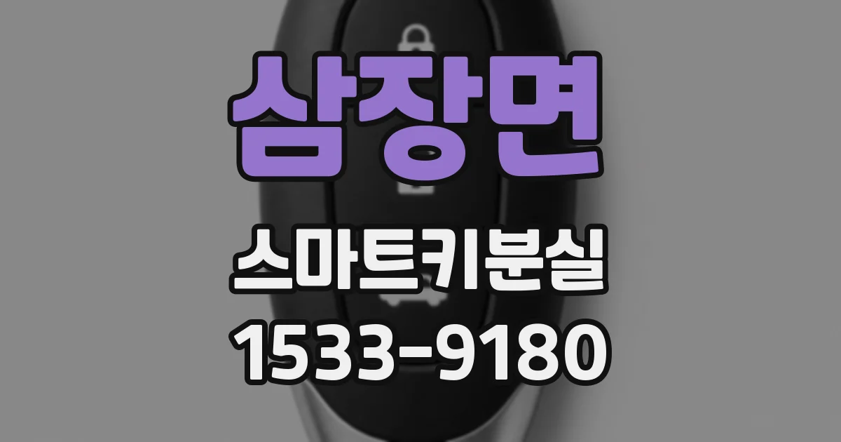삼장면 스마트키분실