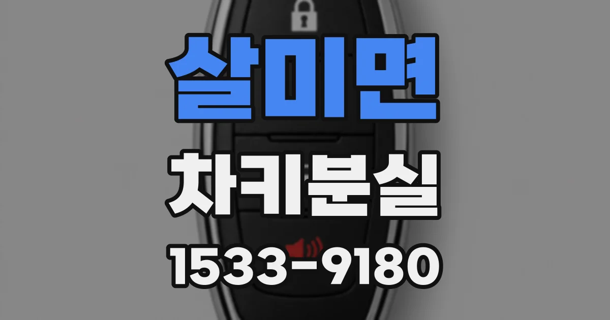 살미면 차키분실