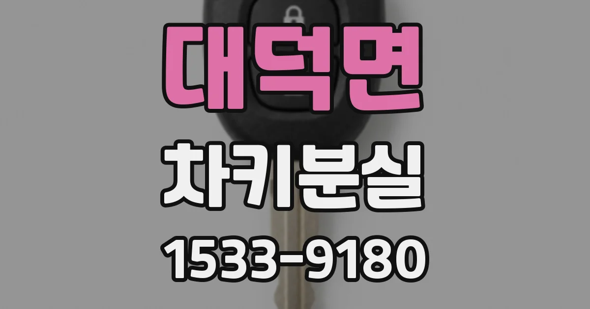 대덕면 차키분실