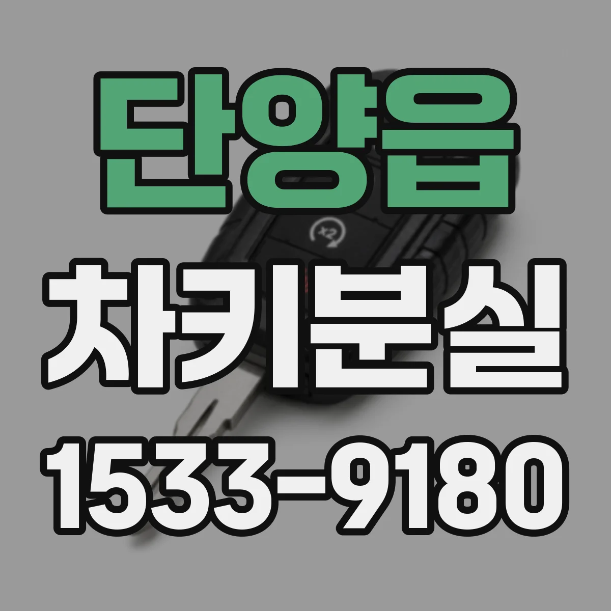 단양읍 차키분실