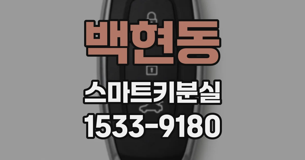 백현동 스마트키분실