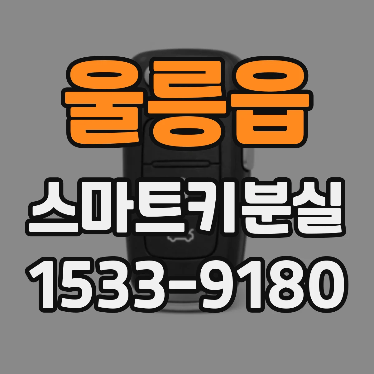 울릉읍 스마트키분실