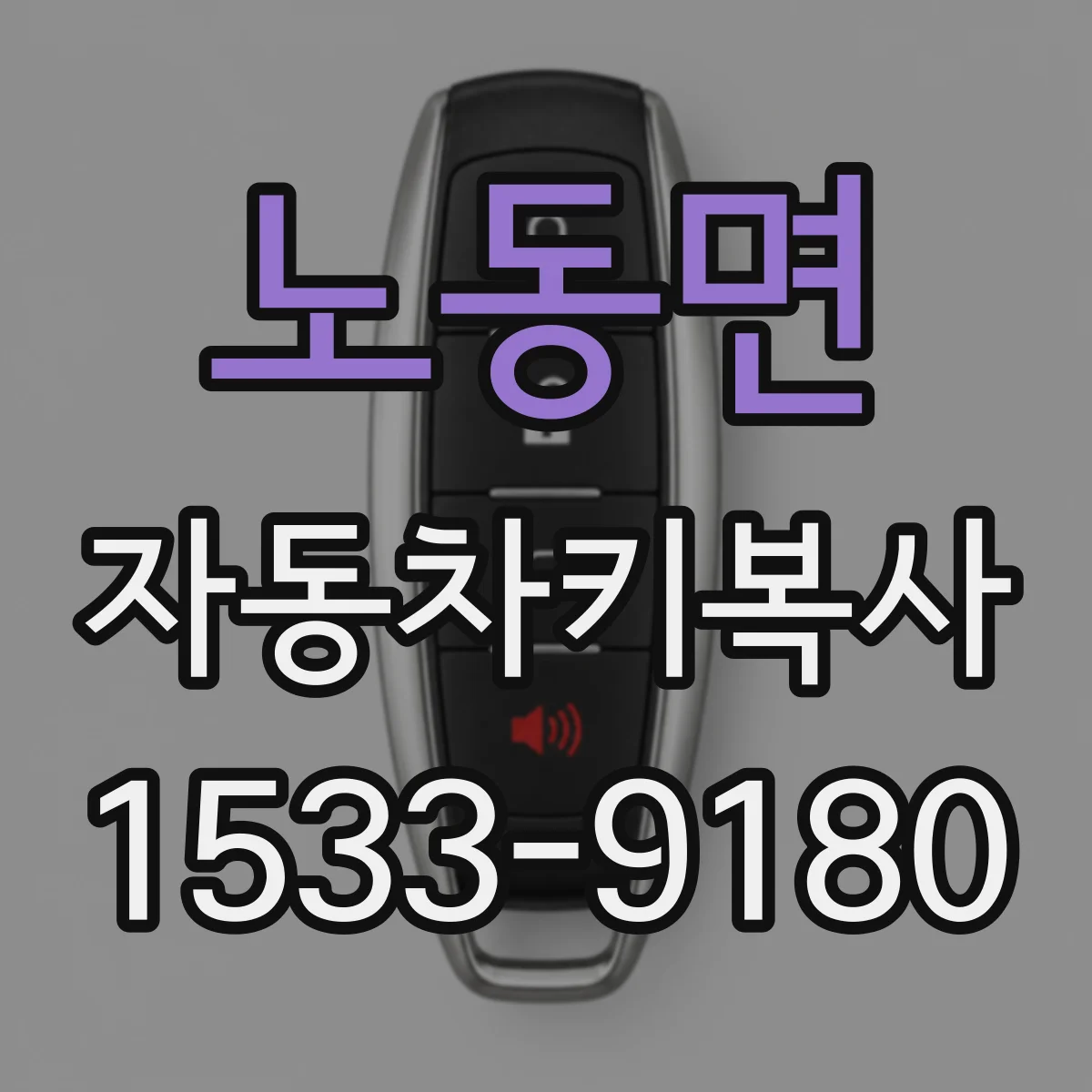 노동면 자동차키복사