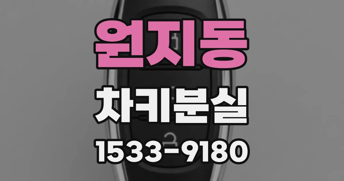 원지동 차키분실