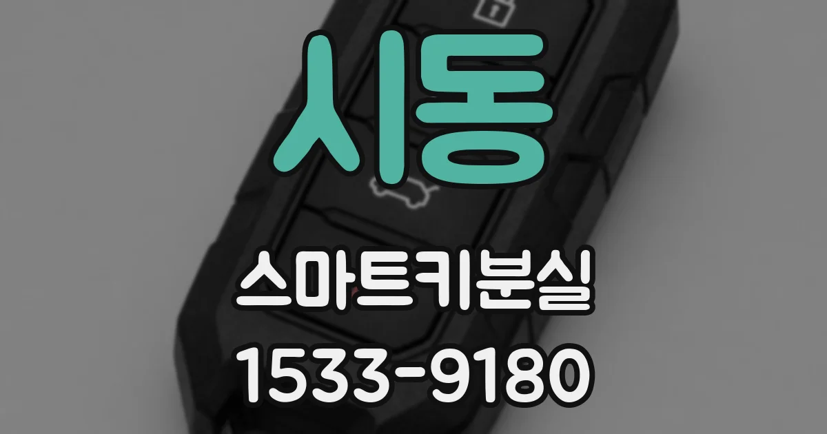 시동 스마트키분실