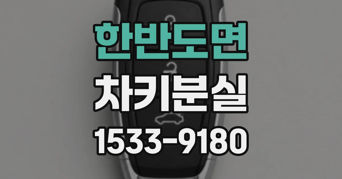 한반도면 차키분실