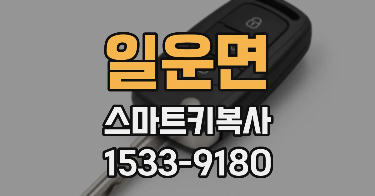 일운면 스마트키복사