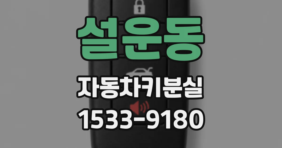 설운동 자동차키분실
