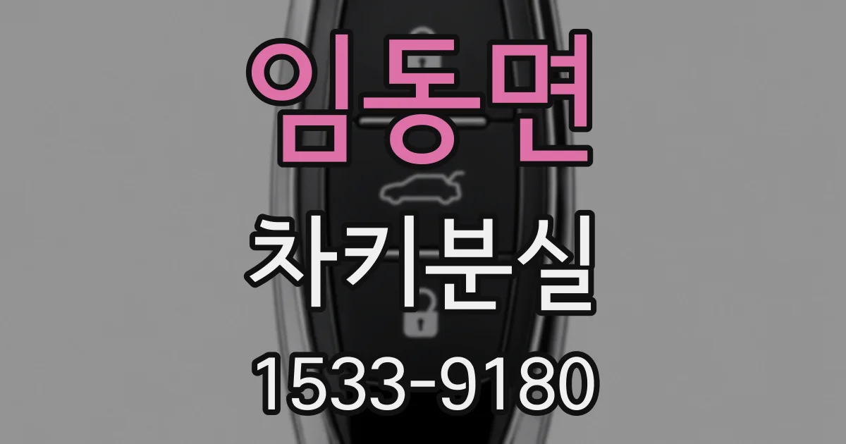 임동면 차키분실