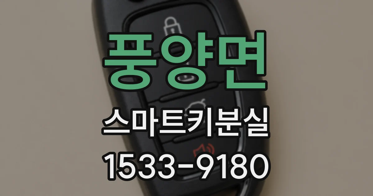 풍양면 스마트키분실