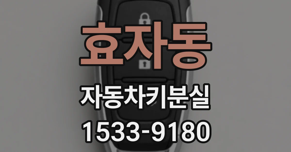 효자동 자동차키분실