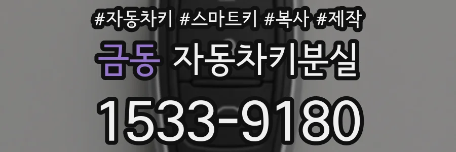 금동 자동차키분실