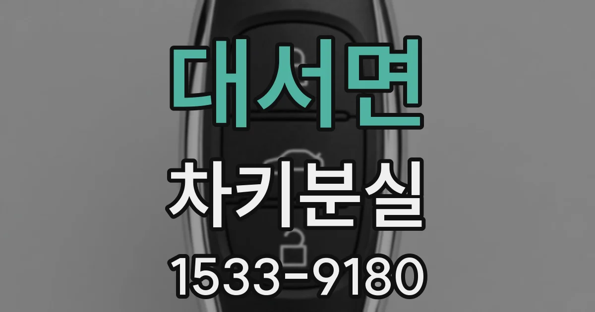 대서면 차키분실
