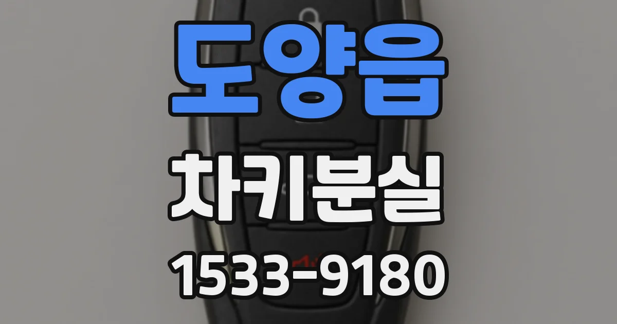 도양읍 차키분실