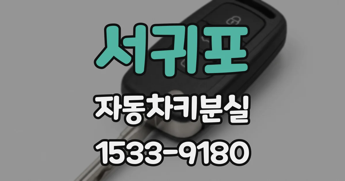 서귀포 자동차키분실