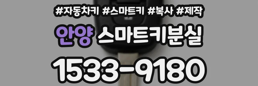 안양 스마트키분실