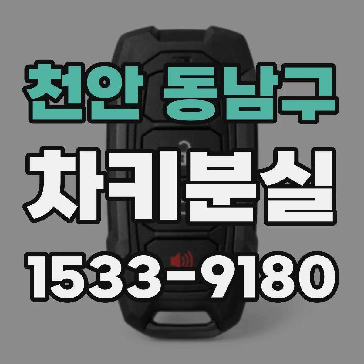 천안 동남구 차키분실