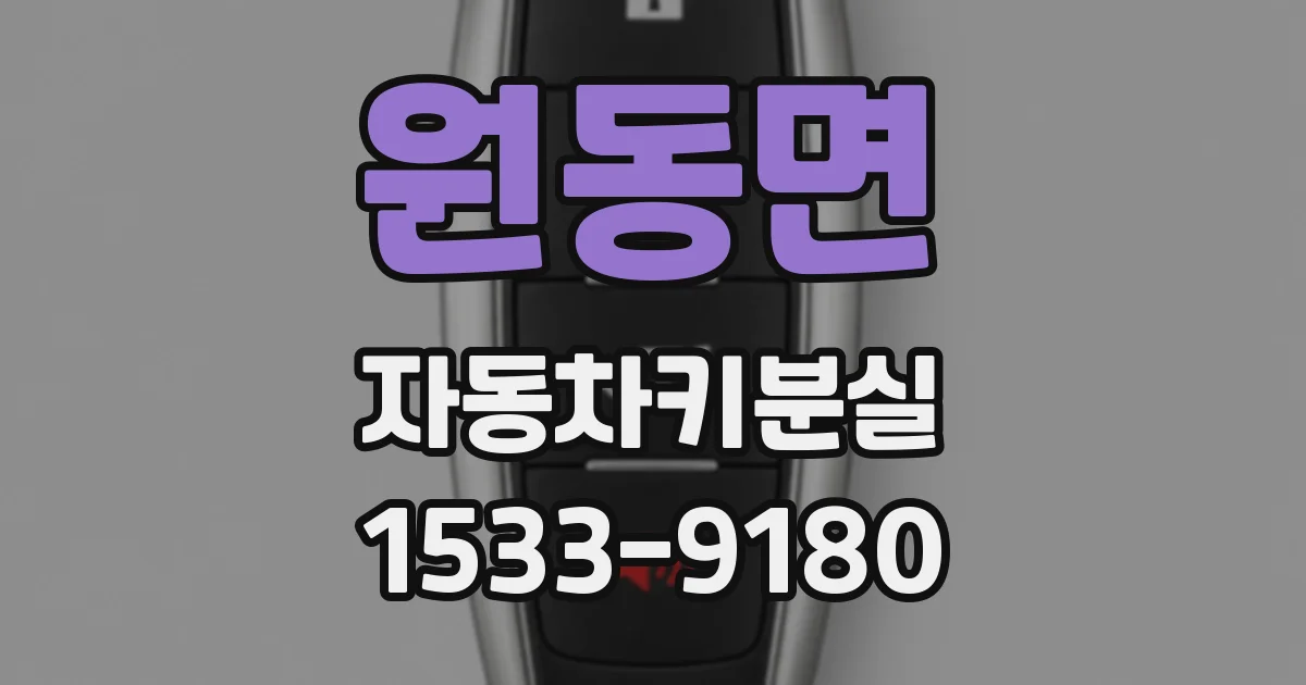 원동면 자동차키분실