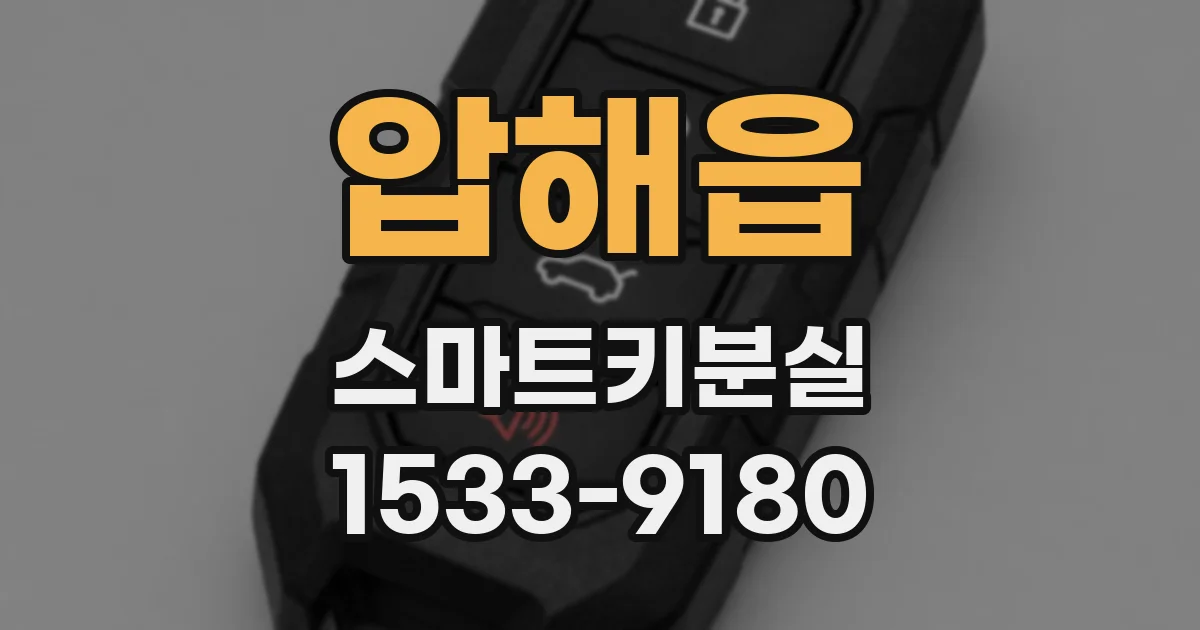 압해읍 스마트키분실
