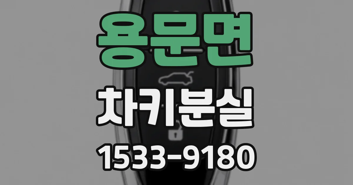용문면 차키분실