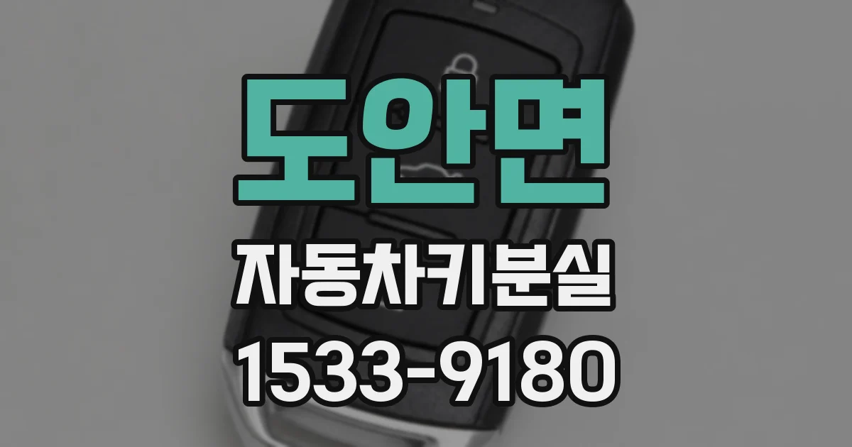 도안면 자동차키분실