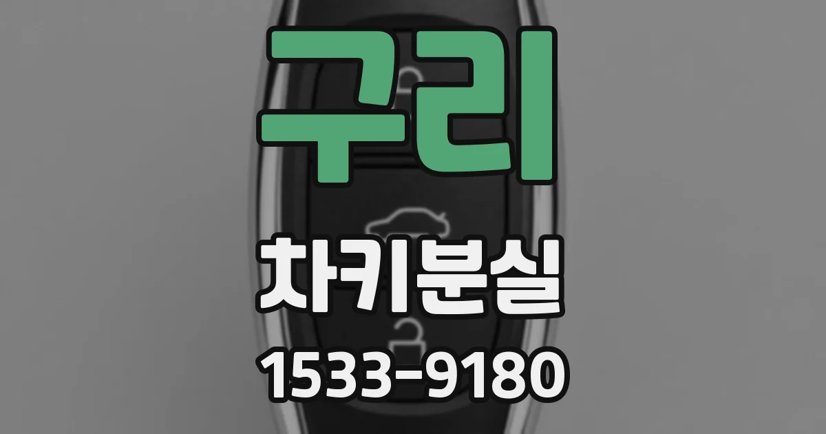 구리 차키분실