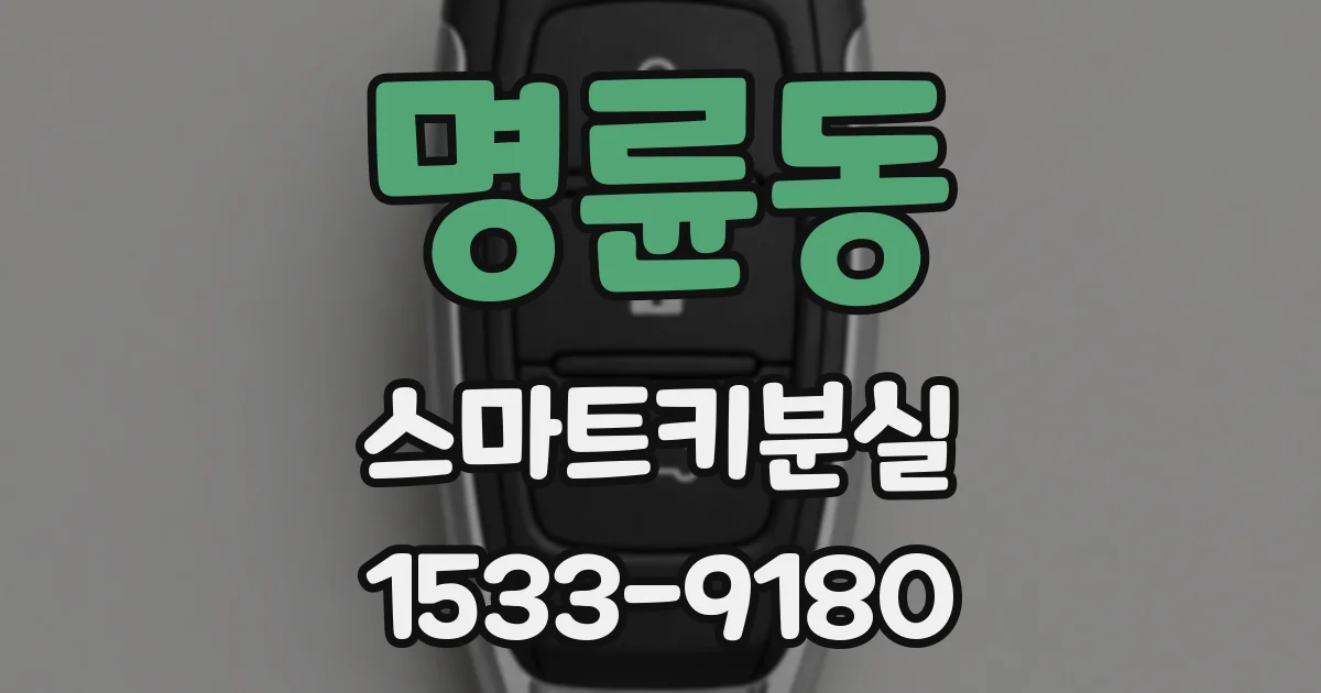 명륜동 스마트키분실
