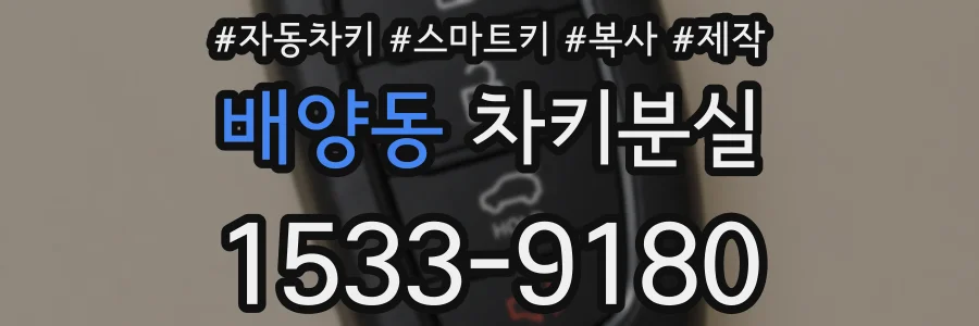 배양동 차키분실