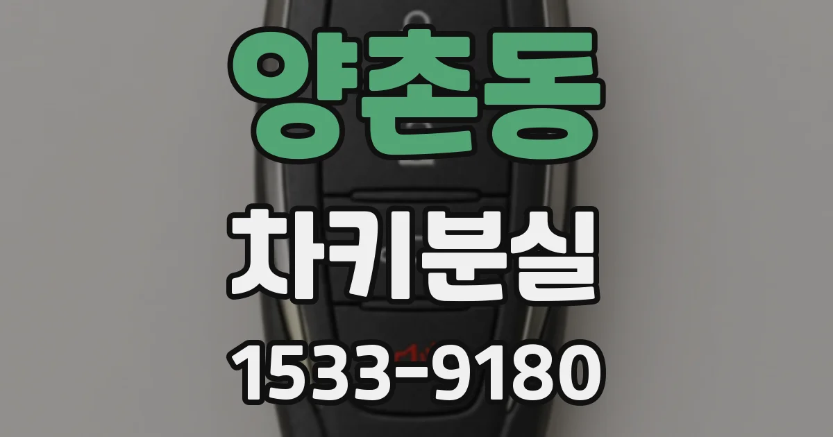 양촌동 차키분실
