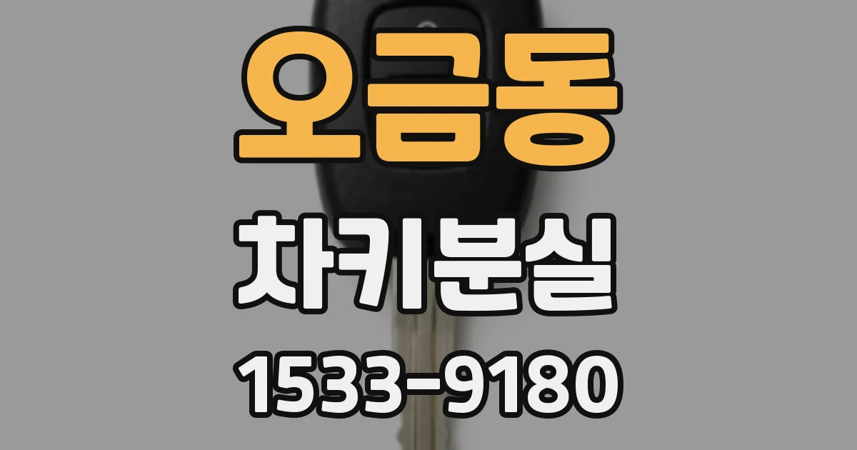 오금동 차키분실