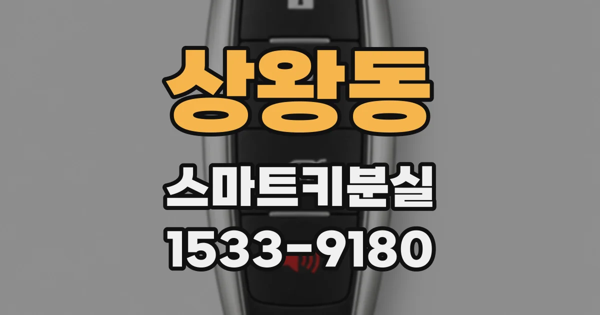 상왕동 스마트키분실