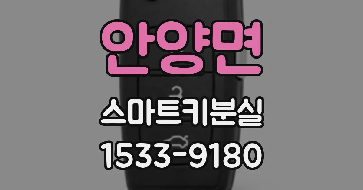 안양면 스마트키분실