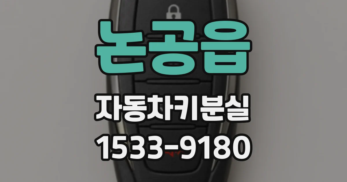 논공읍 자동차키분실