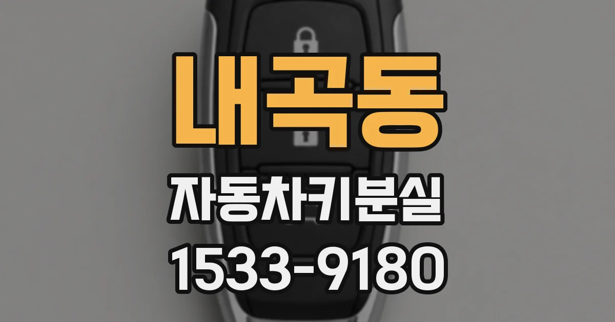 내곡동 자동차키분실