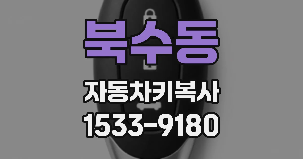 북수동 자동차키복사
