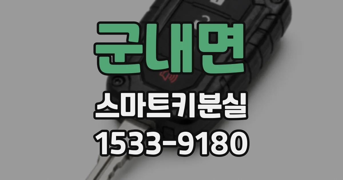 군내면 스마트키분실