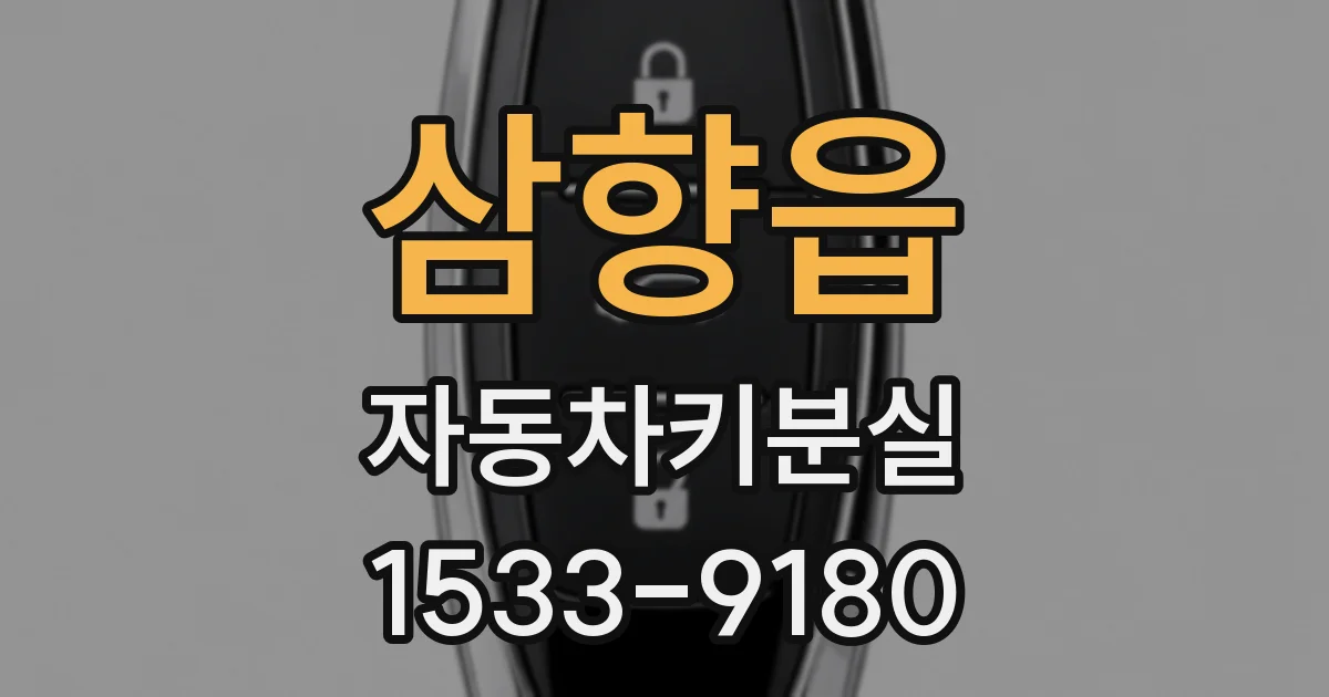 삼향읍 자동차키분실