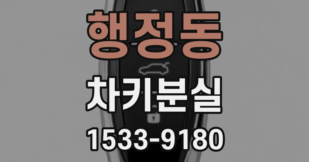 행정동 차키분실