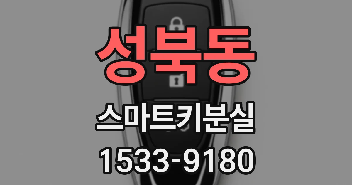 성북동 스마트키분실