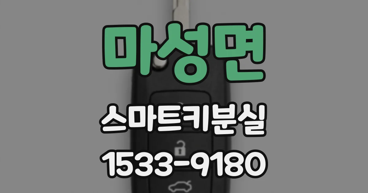 마성면 스마트키분실