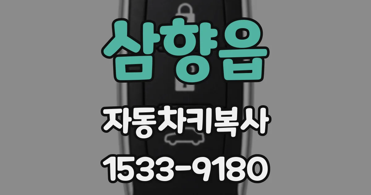 삼향읍 자동차키복사