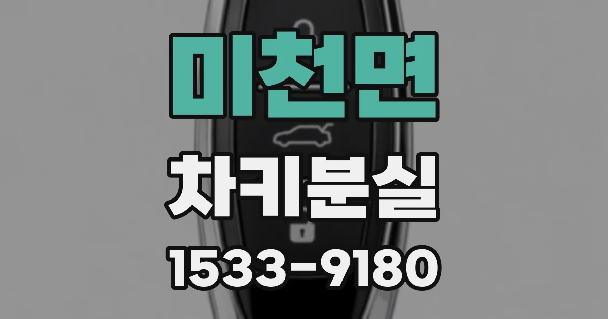 미천면 차키분실